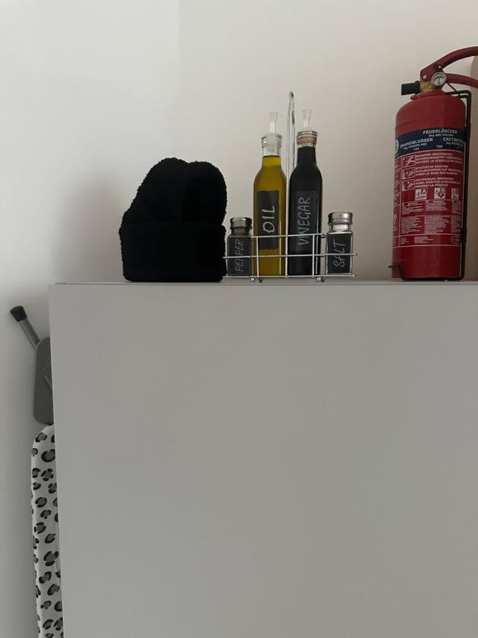 Klimatisiertes Dachgeschoss City Apartment In Zentrum Wiens Екстериор снимка