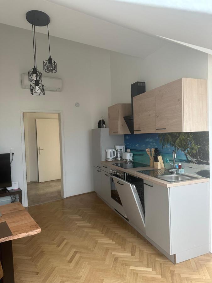 Klimatisiertes Dachgeschoss City Apartment In Zentrum Wiens Екстериор снимка