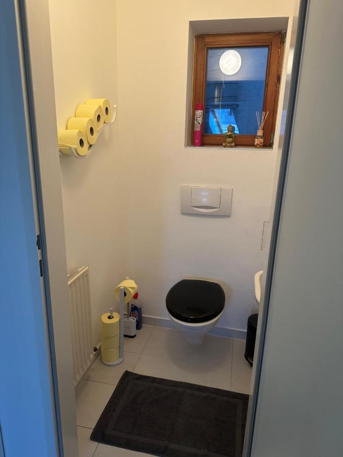 Klimatisiertes Dachgeschoss City Apartment In Zentrum Wiens Екстериор снимка