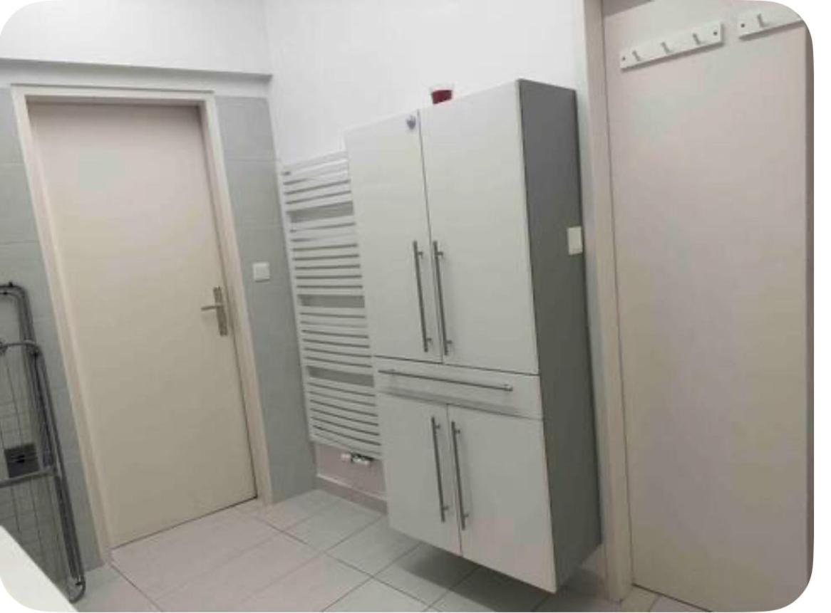 Klimatisiertes Dachgeschoss City Apartment In Zentrum Wiens Екстериор снимка